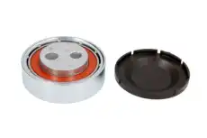 ролик натяжной генератора Audi E2W0009BTA BTA