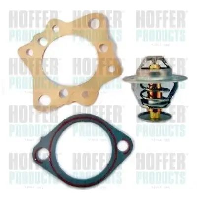 Термостат системы охлаждения HOFFER 8192437