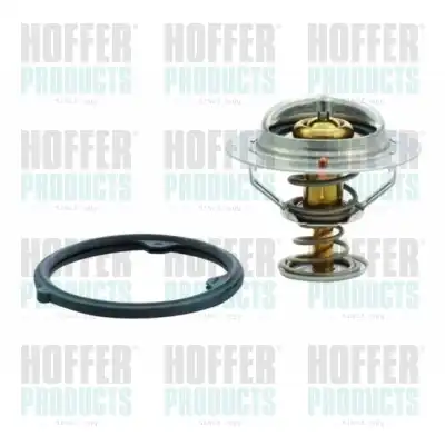 Термостат системы охлаждения HOFFER 8192412