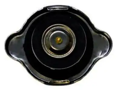 CAP, RADIATOR 2143054P00 NISSAN