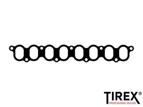 Прокладка коллектора TIREX AA01193