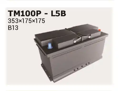 Аккумулятор IPSA TM100P