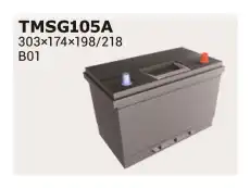Аккумулятор IPSA TMSG105A