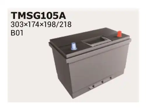 Аккумулятор IPSA TMSG105A