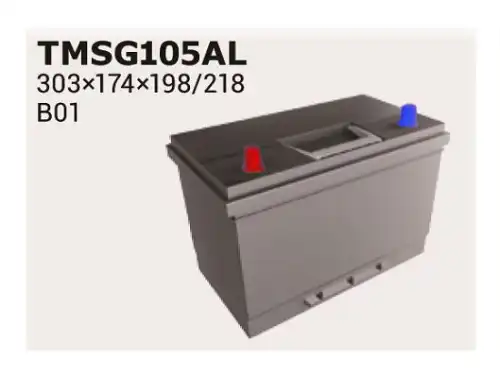 Аккумулятор IPSA TMSG105AL