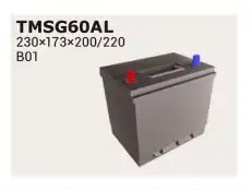 Аккумулятор IPSA TMSG60AL