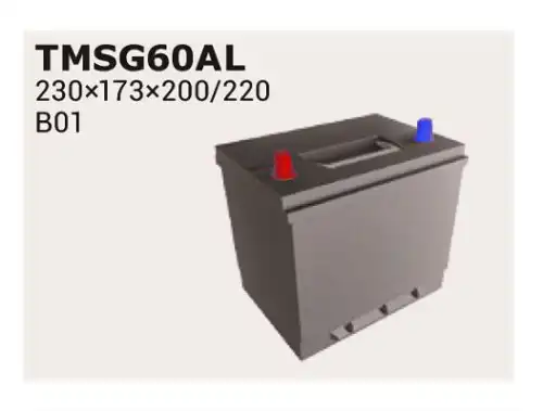 Аккумулятор IPSA TMSG60AL