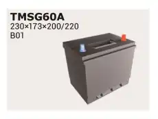Аккумулятор IPSA TMSG65A