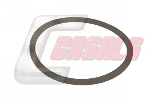 кольцо уплотнительное ! \BPW, KASSBOHRER 9663 CASALS