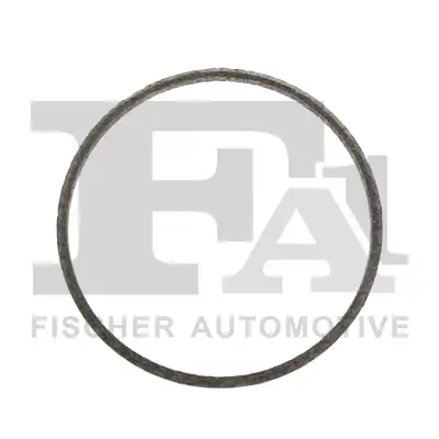 101-920 кольцо BMW FA1