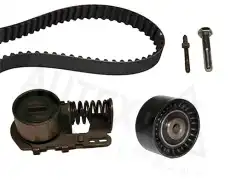ремкомплект ГРМ Citr 702209 AUTEX