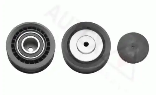 ролик обводной VW 641077 AUTEX