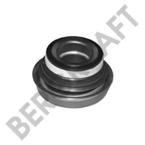 помпа Scan BK8806511 BERGKRAFT