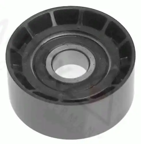 ролик обводной генератора Ren 651064 AUTEX