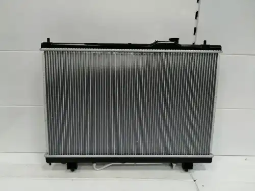 Радиатор системы охлаждения двигателя DAR 164007A262