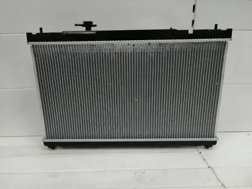 Радиатор системы охлаждения двигателя DAR 164000H020