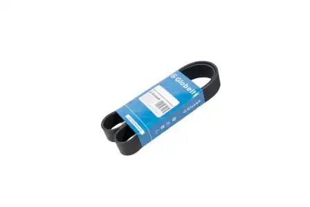 GLOBELT 16PJ1752
