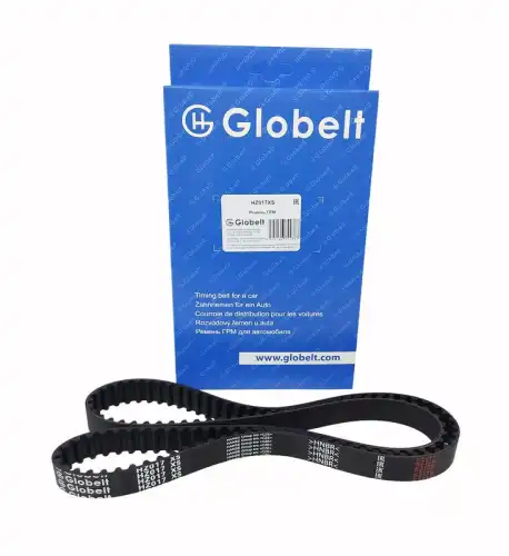 HZ017XS_GLOBELT_Ремень ГРМ