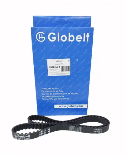 HZ019XS_GLOBELT_Ремень ГРМ