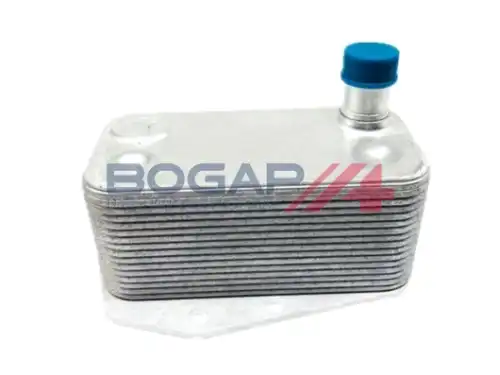 Масляный радиатор BOGAP E4222100