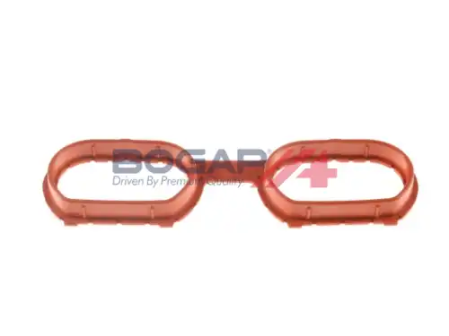 BOGAP B1715101