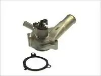 помпа Ford D1G021TT THERMOTEC