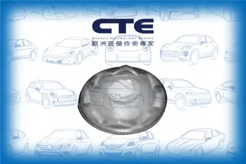 Рычаг подвески CTE CBH03010