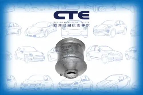 Рычаг подвески CTE CBH03011