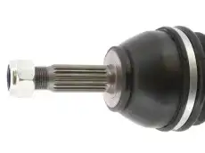 ремень поликлиновой Ren 5075 CEVAM