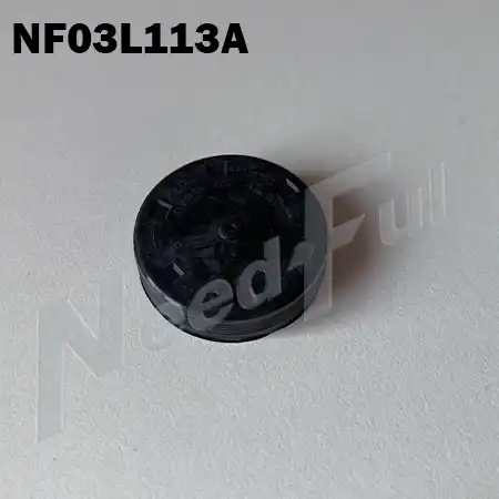 Заглушка в ГБЦ NF03L113A NEEDFUL