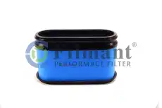 Фильтр воздушный FILMANT P606119
