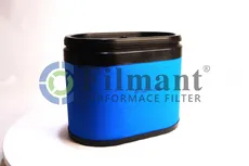 Фильтр воздушный FILMANT P609086