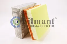 Фильтр воздушный FILMANT C22117