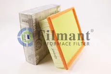 Фильтр воздушный FILMANT C22117