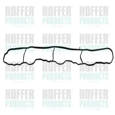 Прокладка коллектора HOFFER 016225
