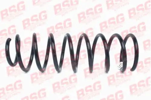 BSG BSG30305015