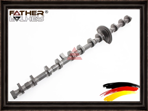 F3011R99 Эксцентриковый вал FATHER