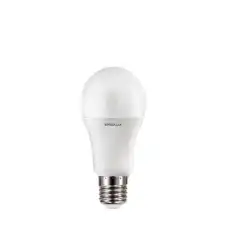 ERGOLUX 1239588
