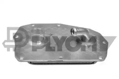 Масляный радиатор PLYOM P768817