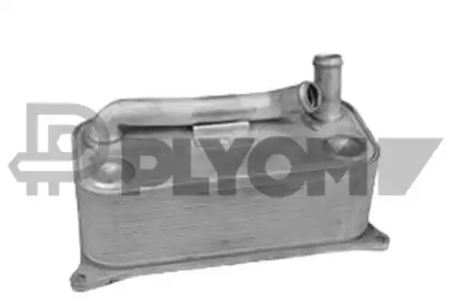 Масляный радиатор PLYOM P768819