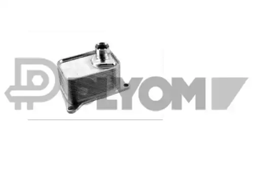 Масляный радиатор PLYOM P768822