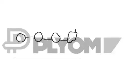 Прокладка коллектора PLYOM P774841
