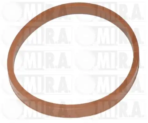 Прокладка коллектора MI.R.A. 13/4077G