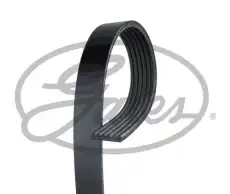 GATES 6PK803SF