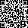 Амортизатор кабины TEMPLIN 09.070.7950.195