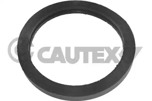 прокладка термостата \ 751976 CAUTEX