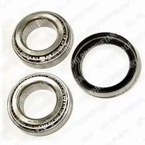 комплект подшипника ступицы зад. Ford BK552 DELPHI