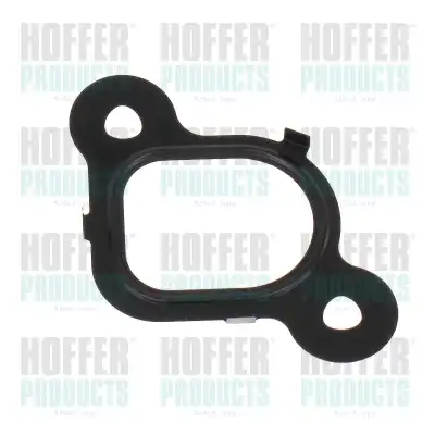 Прокладка коллектора HOFFER 016253