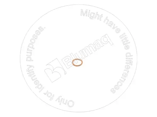 Шайба форсунки BLUMAQ 2862890