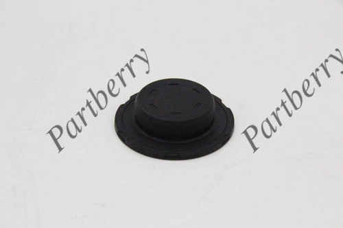 ЗАГЛУШКА / STOPFEN PB132868 PARTBERRY